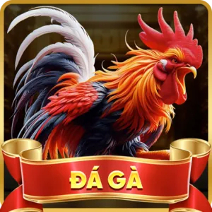 Hỗ trợ khách hàng Jun888 Đá Gà